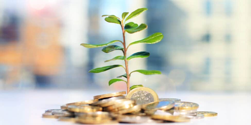Die Rolle von Experten für Geldanlage bei der Planung Ihrer finanziellen Zukunft